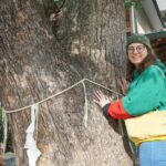4.5-hr Kyoto Historical Highlights Bike Tour with UNESCO - The Value of This Kyoto Bike Tour