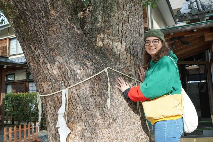 4.5-hr Kyoto Historical Highlights Bike Tour with UNESCO - The Value of This Kyoto Bike Tour