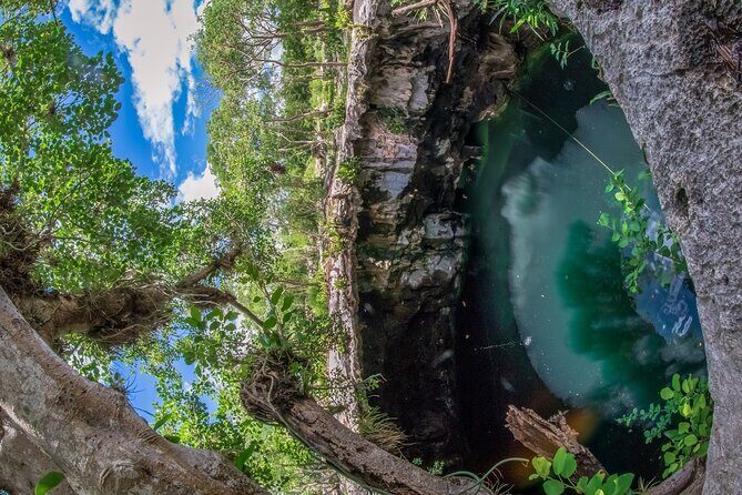 4 Cenotes Full Day Tour from Merida - Transportation, Timing, and Group Size