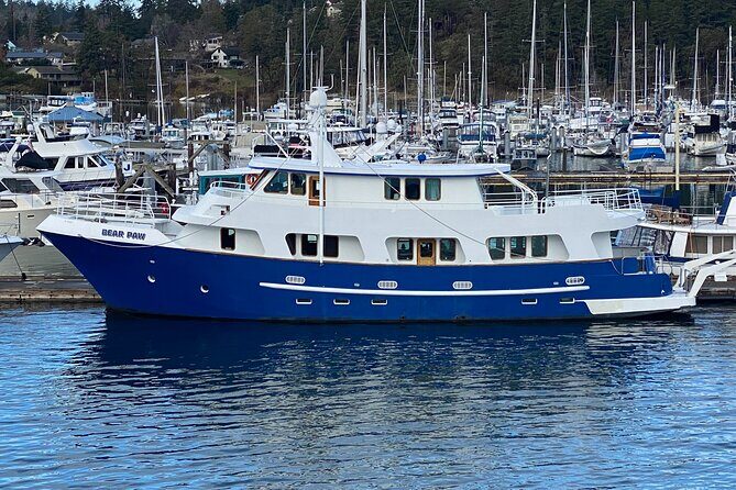 4 Course Dinner Luxury Yacht Dinner cruise out of Friday Harbor - The Real Value: Is It Worth the Price?