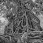 4-Day Angkor Wat, Kulen Mount, Koh Ker Group & Beng Mealea - Final Thoughts: Is This Tour Right for You?