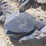 4 day Gobi in express short time - FAQs