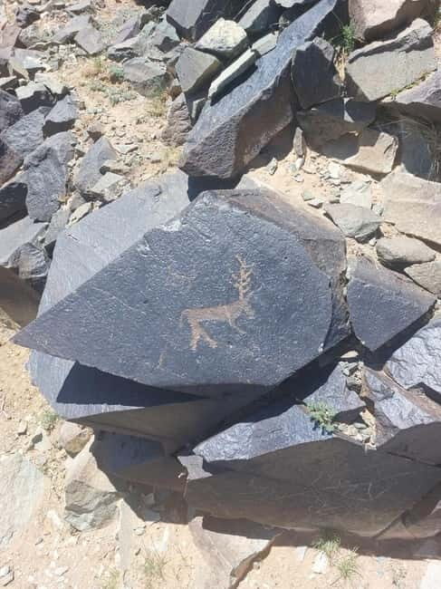 4 day Gobi in express short time - FAQs