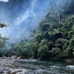 4 Day Jungle Adventure including 2 day trek - Why You Should Consider This Tour