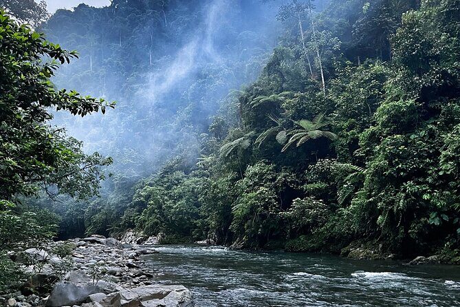 4 Day Jungle Adventure including 2 day trek - Why You Should Consider This Tour