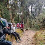 4-Day Mulde ,Poon Hill Trek Itinerary (Children-Friendly) - Why This Tour Offers Great Value