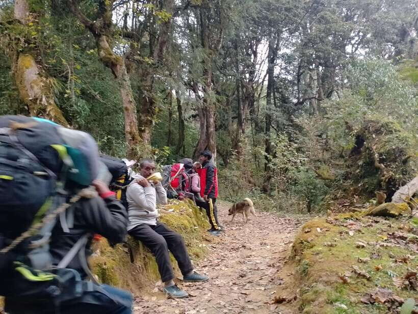 4-Day Mulde ,Poon Hill Trek Itinerary (Children-Friendly) - Why This Tour Offers Great Value