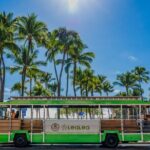 4 Day Pass LeaLea Trolley and Waikiki Trolley Pink Line - Who Will Love This Experience?