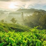 4 Days Best of Kerala Tour with Private Houseboat, Sightseeing & Car - Frequently Asked Questions