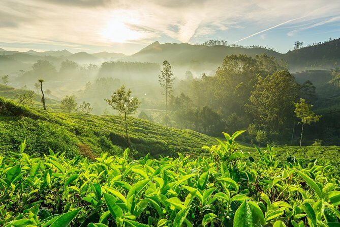 4 Days Best of Kerala Tour with Private Houseboat, Sightseeing & Car - Frequently Asked Questions