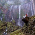 4 Days Bromo Ijen Tumpak Sewu from Surabaya Malang Banyuwangi - Authentic Experiences and Practicalities