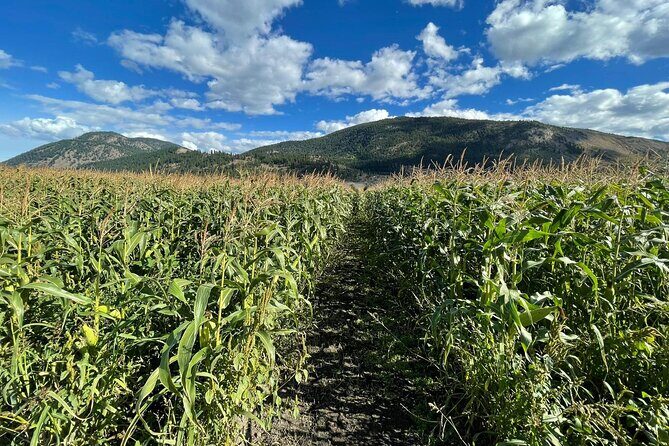 4 Days Canadian Rockies Fall/Spring Tour - Exploring the Route: A Day-by-Day Breakdown