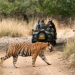 4 Days Golden Triangle Tour with Ranthambore from Delhi - What Makes This Tour Valuable?