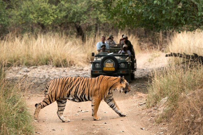 4 Days Golden Triangle Tour with Ranthambore from Delhi - What Makes This Tour Valuable?