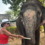 4-Days Private Golden Triangle Tour: Delhi, Agra & Jaipur - Final Thoughts: Who Is This Tour for?