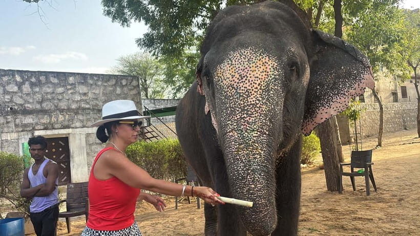 4-Days Private Golden Triangle Tour: Delhi, Agra & Jaipur - Final Thoughts: Who Is This Tour for?