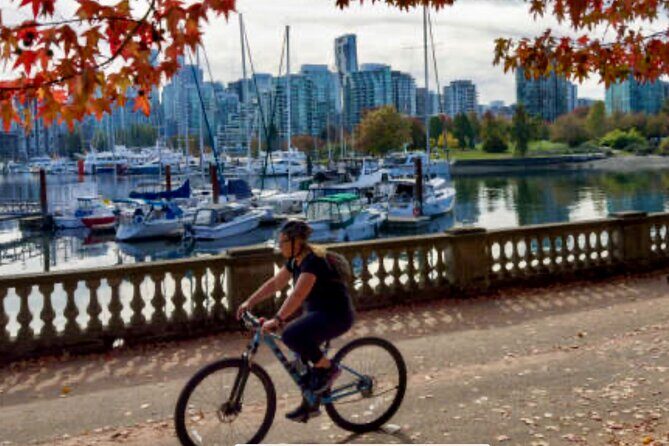 4 Hour E-bike Rental From Convenient Location on Seawall - Why This E-bike Rental Offers Genuine Value