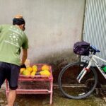 4 Hour Guided Cycling Experience in Yakushima - The Experience: What Travelers Say