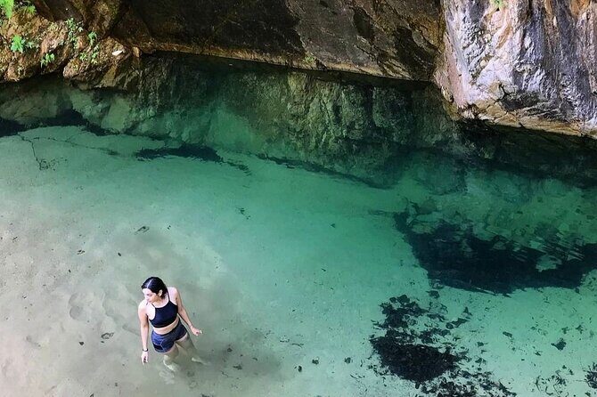 4-Hour Jungle Hike and Waterfall Swim - An In-Depth Look at the Jungle Hike and Waterfall Swim Experience