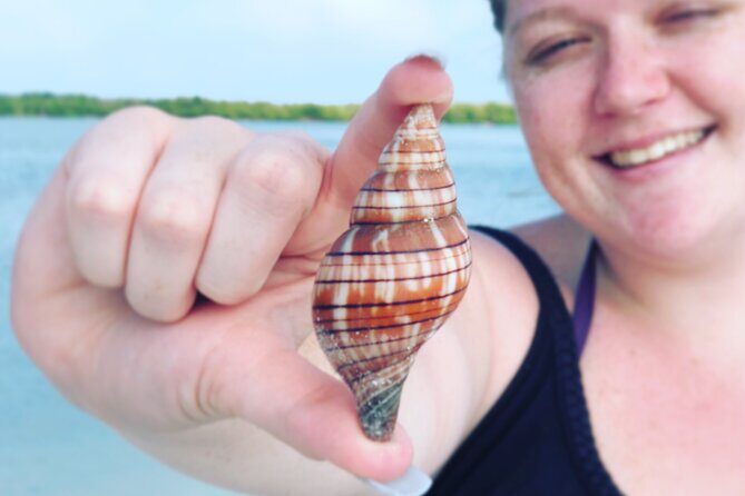 4 Hour Kice Island Shelling Trip - A Deep Dive into the Kice Island Shelling Trip