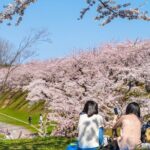 4 Hour Private Cherry Blossom "Sakura" Experience in Nagasaki - Frequently Asked Questions