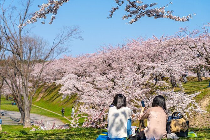 4 Hour Private Cherry Blossom "Sakura" Experience in Nagasaki - Frequently Asked Questions