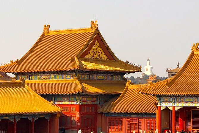 4-Hour Private Forbidden City Tour in Depth - A Deep Dive into the Beijing Highlights