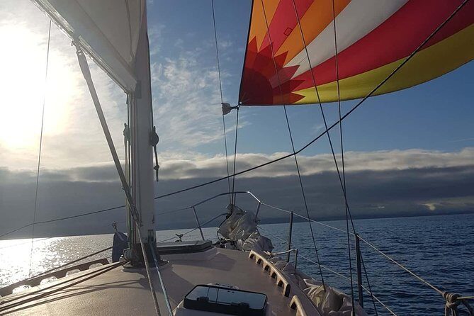 4-Hour Sailing Adventure on The Strait of Juan de Fuca - Who Will Love This Experience?