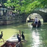 4-Hour Tongli Water Town Private Tour from Suzhou with Boat Ride - Why Choose This Tour?