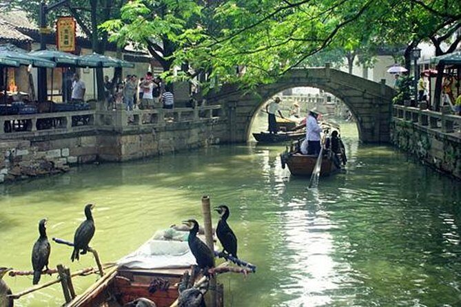 4-Hour Tongli Water Town Private Tour from Suzhou with Boat Ride - Why Choose This Tour?
