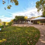 4-Hour Traverse City Sunset Wine Tour: 3 Wineries on Old Mission Peninsula - An In-Depth Look at the Traverse City Sunset Wine Tour