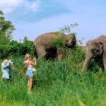 4-Hours Phuket Ethical Elephant Sanctuary Tour with Lunch - Why This Tour Offers Great Value
