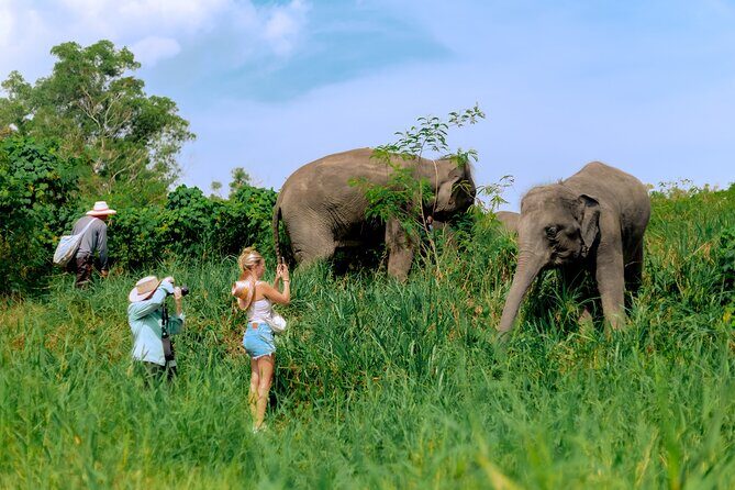 4-Hours Phuket Ethical Elephant Sanctuary Tour with Lunch - Why This Tour Offers Great Value
