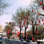 4 Hours Xian Tour of City Wall and Big Wild Goose Pagoda - Who Should Consider This Tour?