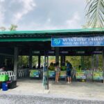 4 Island Tour by Traditional Big Longtail Boat from Krabi - Final Thoughts: Is This Tour Right for You?