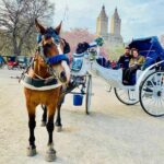 45 min Long VIP Central park carriage ride - The Sum Up: Is This Carriage Ride Worth It?