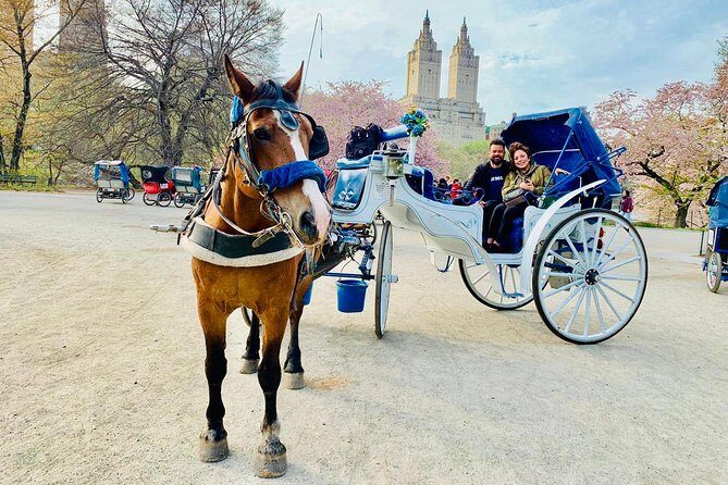 45 min Long VIP Central park carriage ride - The Sum Up: Is This Carriage Ride Worth It?