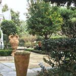 45 minute Highlights of the Garden District - Practical Details and Considerations