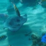 4H Lux 40' Catamaran All-Inclusive in Tulum and Playa del Carmen. - A Closer Look at the Experience