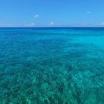 4H Luxury 44' Catamaran All-Inclusive in Tulum & Playa del Carmen - Who Will Love This Tour?