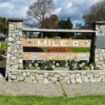 4hr Butchart Gardens and Victoria Private Tour (1-6 pax) - Who is this tour best suited for?