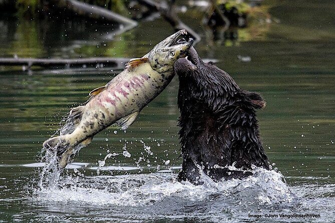 4hr Custom Private Tour of Ketchikan (14 People) Wildlife + More - Frequently Asked Questions