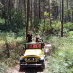 4WD Jeep Mount Batur Sunrise Experience By Bali Volcano Jeep - Exploring the Mount Batur Sunrise Jeep Tour in Detail