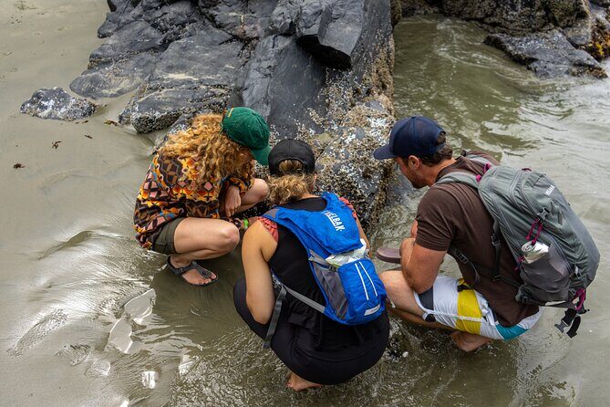 5-Day Adventure Tour in Vancouver Island Exploration - Day 2: Exploring Victoria & Nature