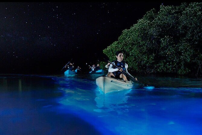 5 day California Vineyards, Waves and Wine small group tour - A Detailed Look at the 5-Day Journey