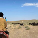 5-Day Horse Riding Tour in the Nuratau Mountains - Detailed Itinerary Breakdown