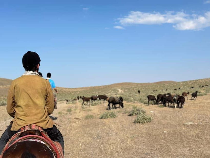 5-Day Horse Riding Tour in the Nuratau Mountains - Detailed Itinerary Breakdown