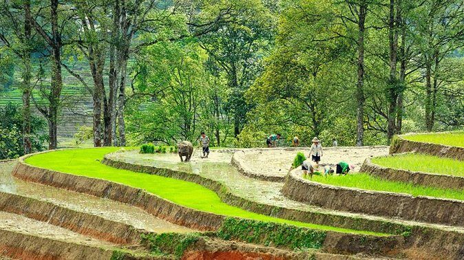 5-Day North Vietnam: Hanoi -Halong Bay -Ninh Binh-Sapa from Hanoi - Practical Insights and What to Expect