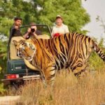 5-Day Private Delhi, Agra and Jaipur with Ranthambhore Tiger Tour From Delhi - Transportation and Comfort