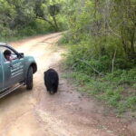 5-Day Private Sri Lanka Trip-Hotels, Breakfast & Luxury Car - The Sum Up